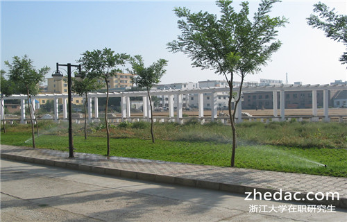 浙江大學同等學力申碩找工作怎么樣