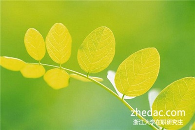 浙江大學在職研究生的學習辛苦嗎？